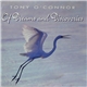 Tony O'Connor - Of Dreams And Discoveries